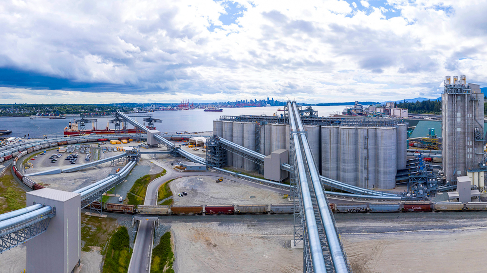 export of grain crops from Russia