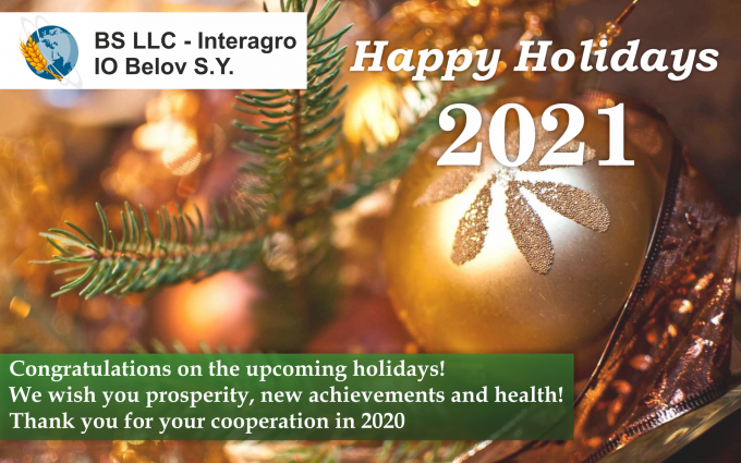 happy-holidays-bs-llc-int