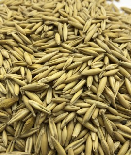 Oats - фото - 1