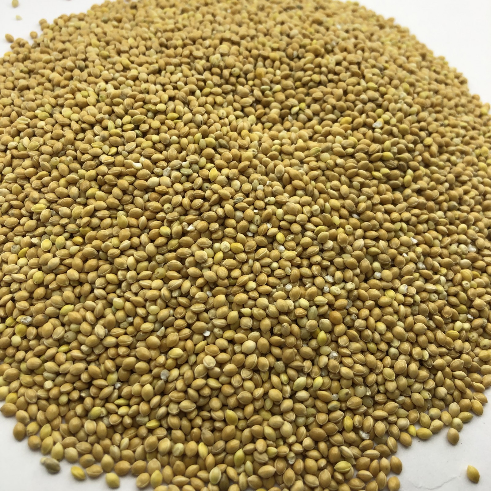 Millet - фото - 1