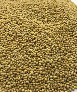 Millet - фото - 1