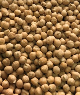 Chickpeas (Kabuli) - фото - 1
