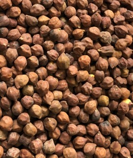 Chickpeas Red (Desi) - фото - 1