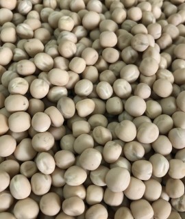 Yellow peas - фото - 1