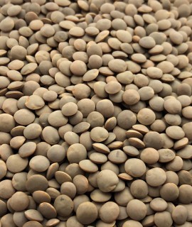 Red lentils - фото - 1