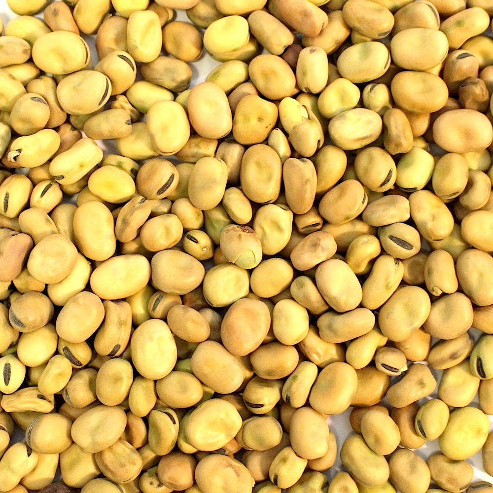 Faba beans - фото - 1