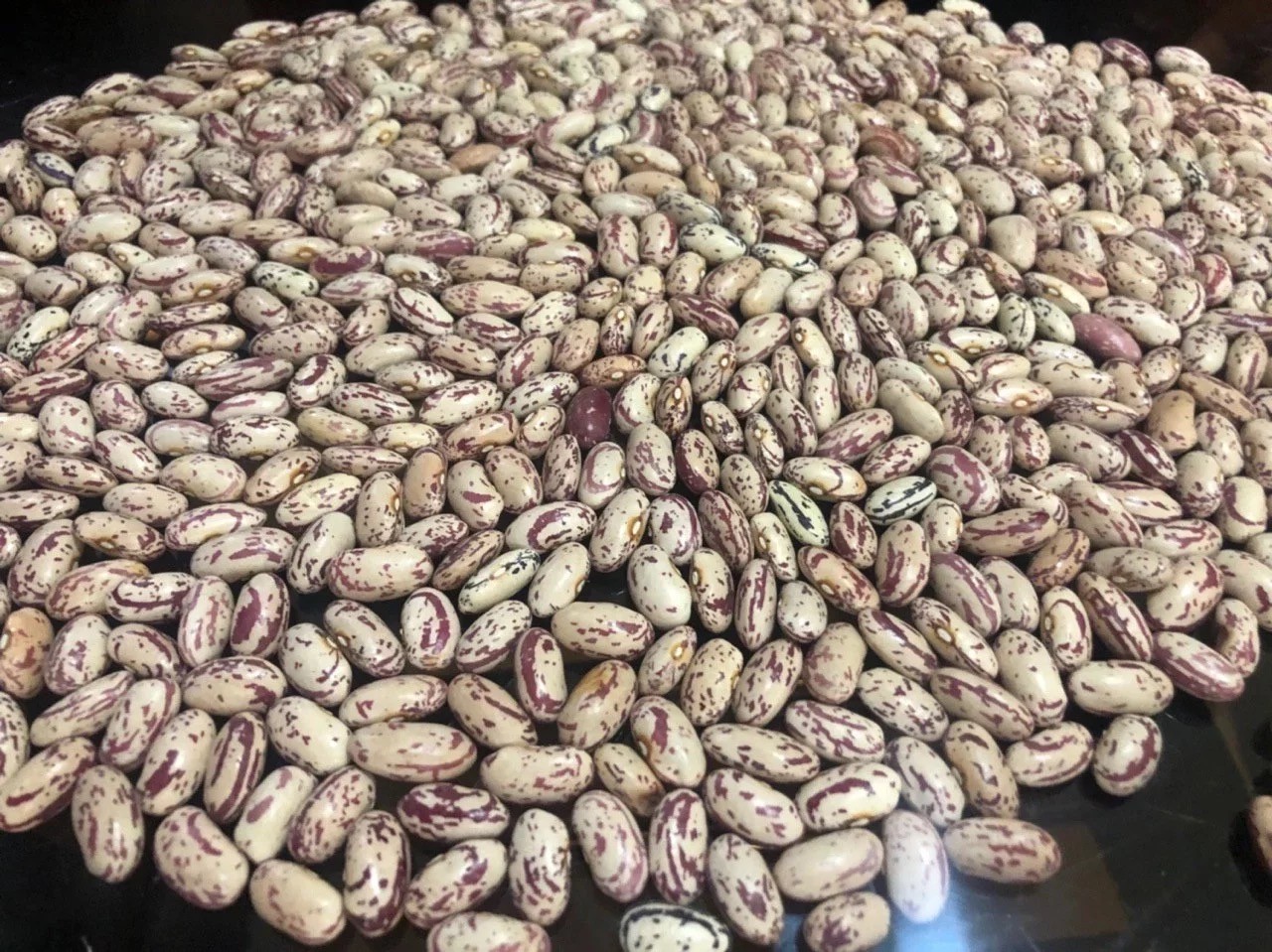 Beans - фото - 1