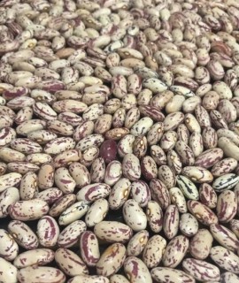 Beans - фото - 1