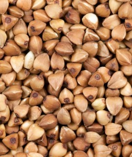 Buckwheat - фото - 1