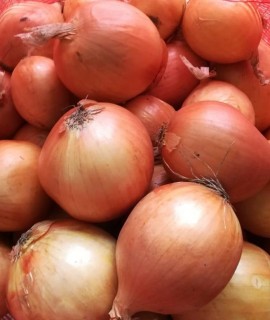 Golden onion - фото - 1