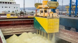 российская пшеница дешевеет на фоне новостей о рекордном урожае - фото - 1